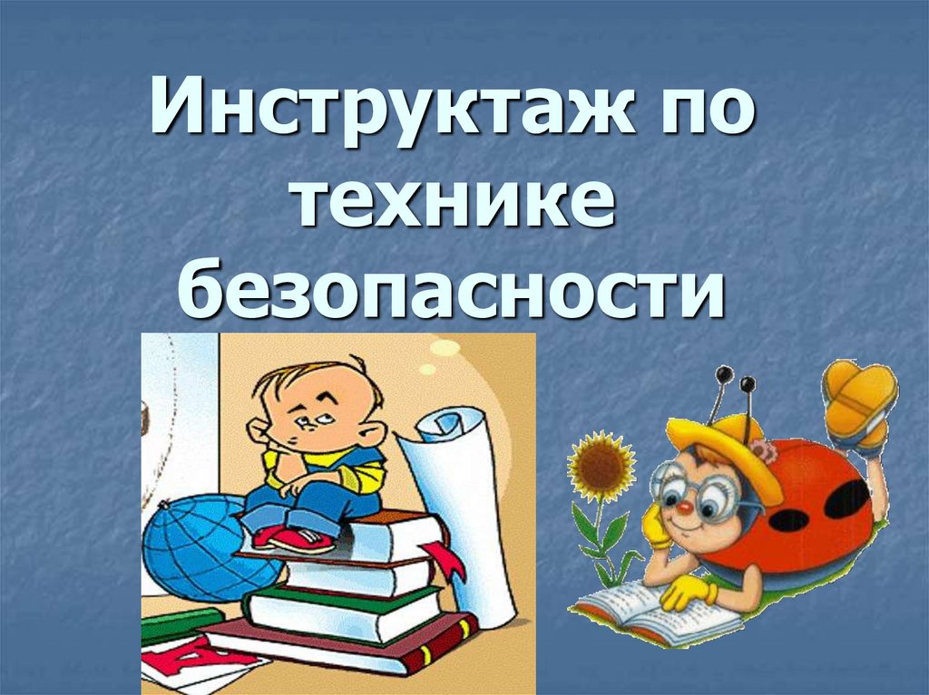 Безопасность обучающихся. Безопасность дорожного движения.